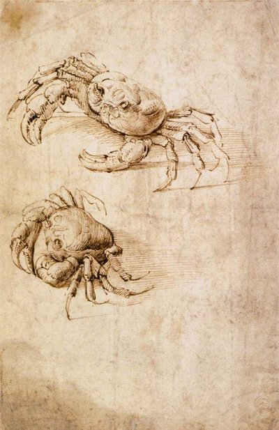 Études de crabes - Leonardo da Vinci